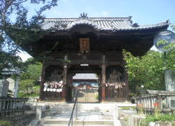 ڻ