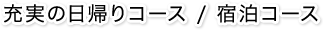 バスツアー専門旅行社「第一観光」ならではのプランが満載